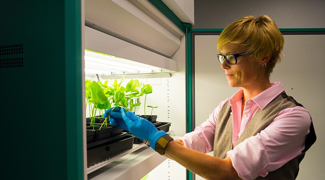 Advanced Treatments: From Dermatology to Cutting-Edge Technologies