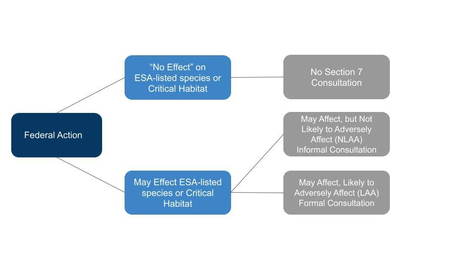 The ‌Consultation ‌Process:⁣ What‍ Questions‌ to ⁤Ask Your Specialist