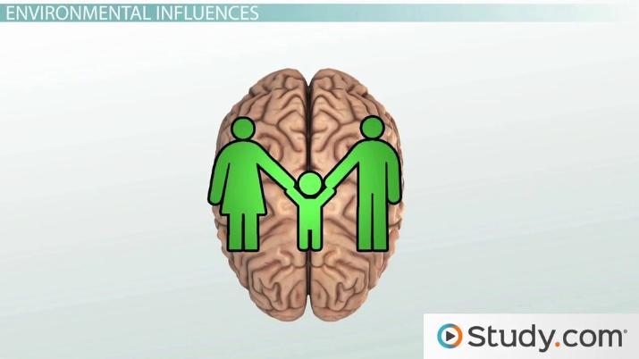 Genetic‌ and Environmental Influences: What Shapes Congenital Naevi