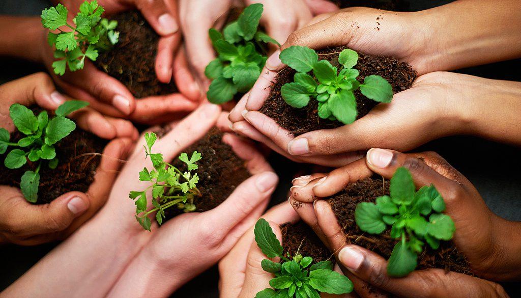 Eco-Friendly Grooming: The Green Side of Sugaring