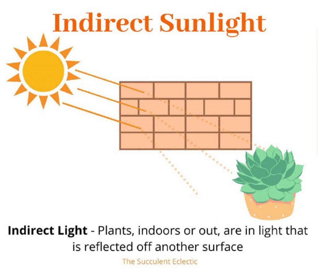Avoid Direct Sunlight Exposure for Optimal Healing