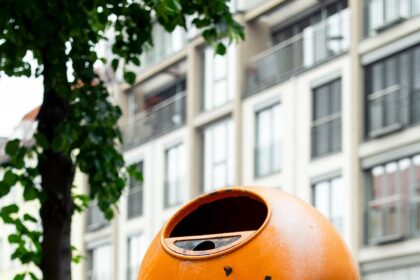 Polishing Pearly Whites: New Caries Removal Techniques 10 Polishing Pearly Whites: New Caries Removal Techniques