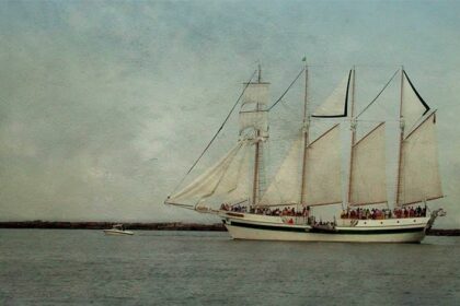 Smooth Sailing: The Ups and Downs of Laser Hair Removal