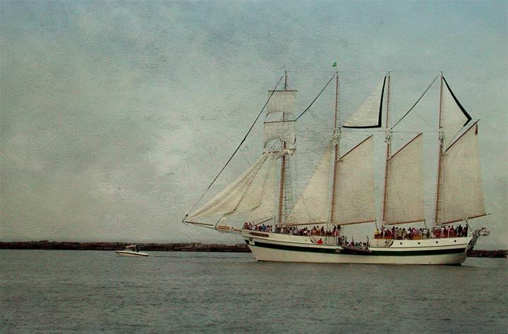 Smooth Sailing: The Ups and Downs of Laser Hair Removal