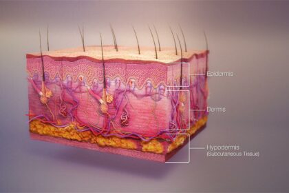Transform Your Skin: Insights from Dermatology Experts