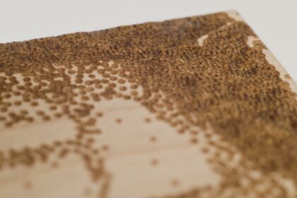 Showering Post-Laser: Tips for Smooth, Safe Skin Recovery 16 Showering Post-Laser: Tips for Smooth, Safe Skin Recovery