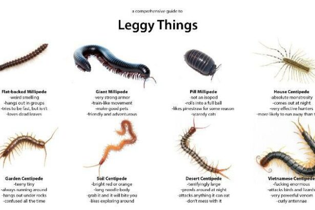 Your Comprehensive Guide to Diseases & Conditions: A to Z