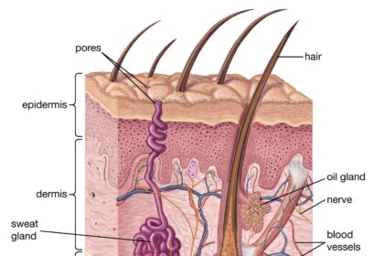 Revitalize Your Skin: Essential Aftercare for Laser Hair Removal 2 Revitalize Your Skin: Essential Aftercare for Laser Hair Removal