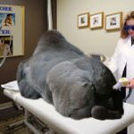 Three Sessions In: The Real Deal on Laser Hair Removal