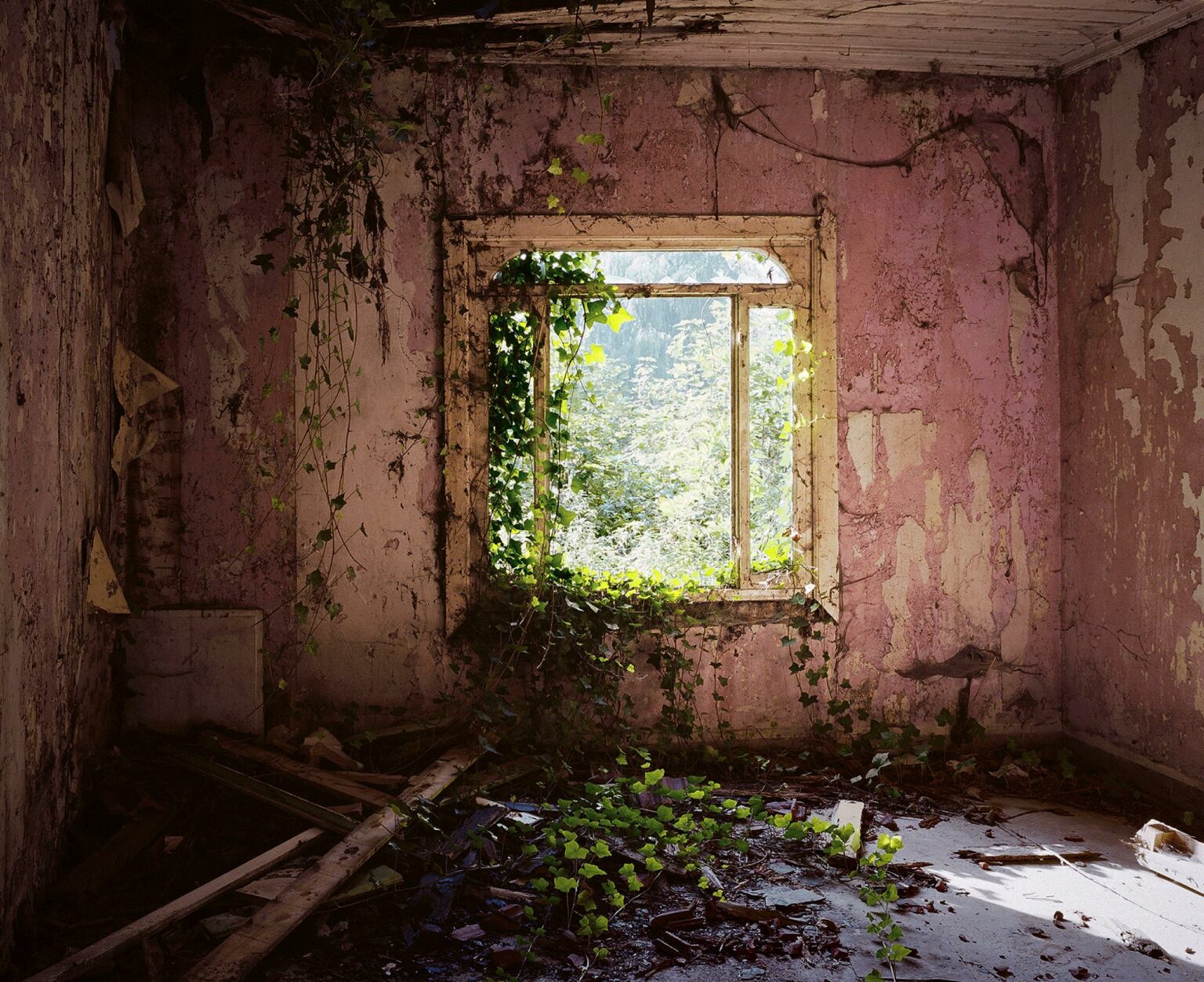 Abandoned Laser Hair: What Happens If You Stop Early?
