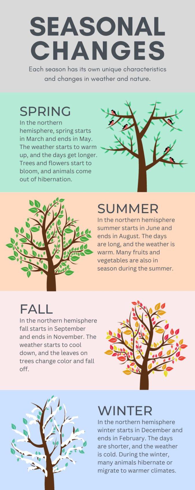 How Seasonal Changes Affect Tree Removal Expenses