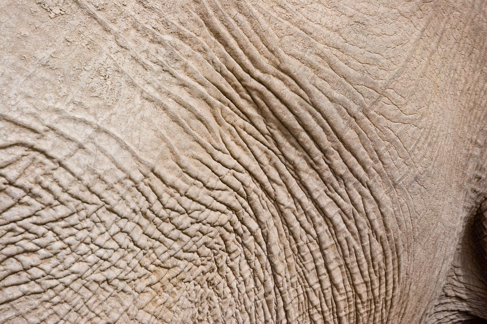 Protecting Your Skin Barrier During the Shower