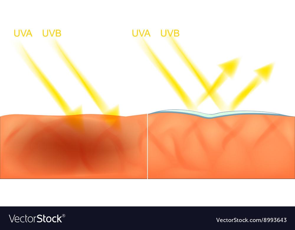 Say No to Sun: Protecting Your Skin from Harmful Rays