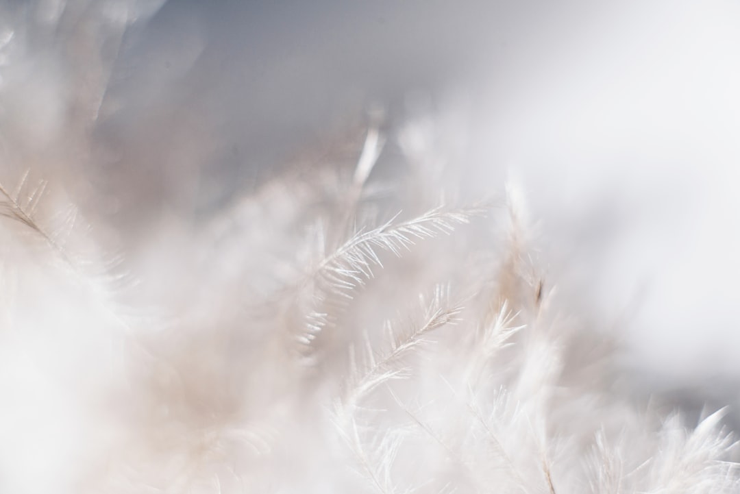 Photo Soft wax