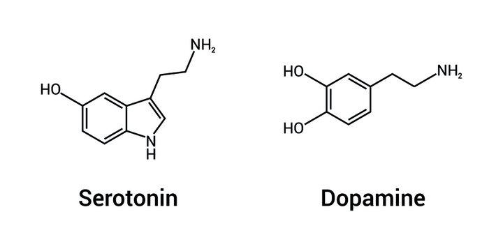 The Dopamine Cycle: Why We Cant Put Our Phones Down