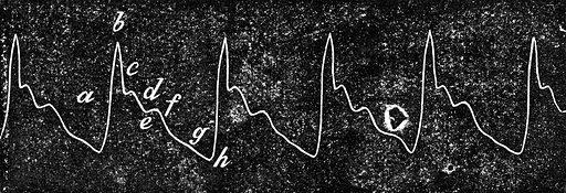 The Art of the Perfect Pulse: Technique Tips