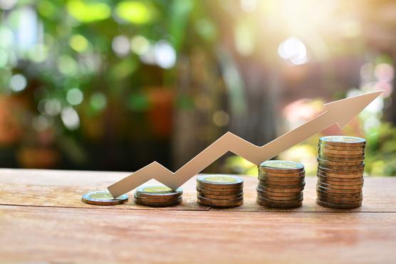 Investing in Erasure: The True Cost of Different Removal Techniques