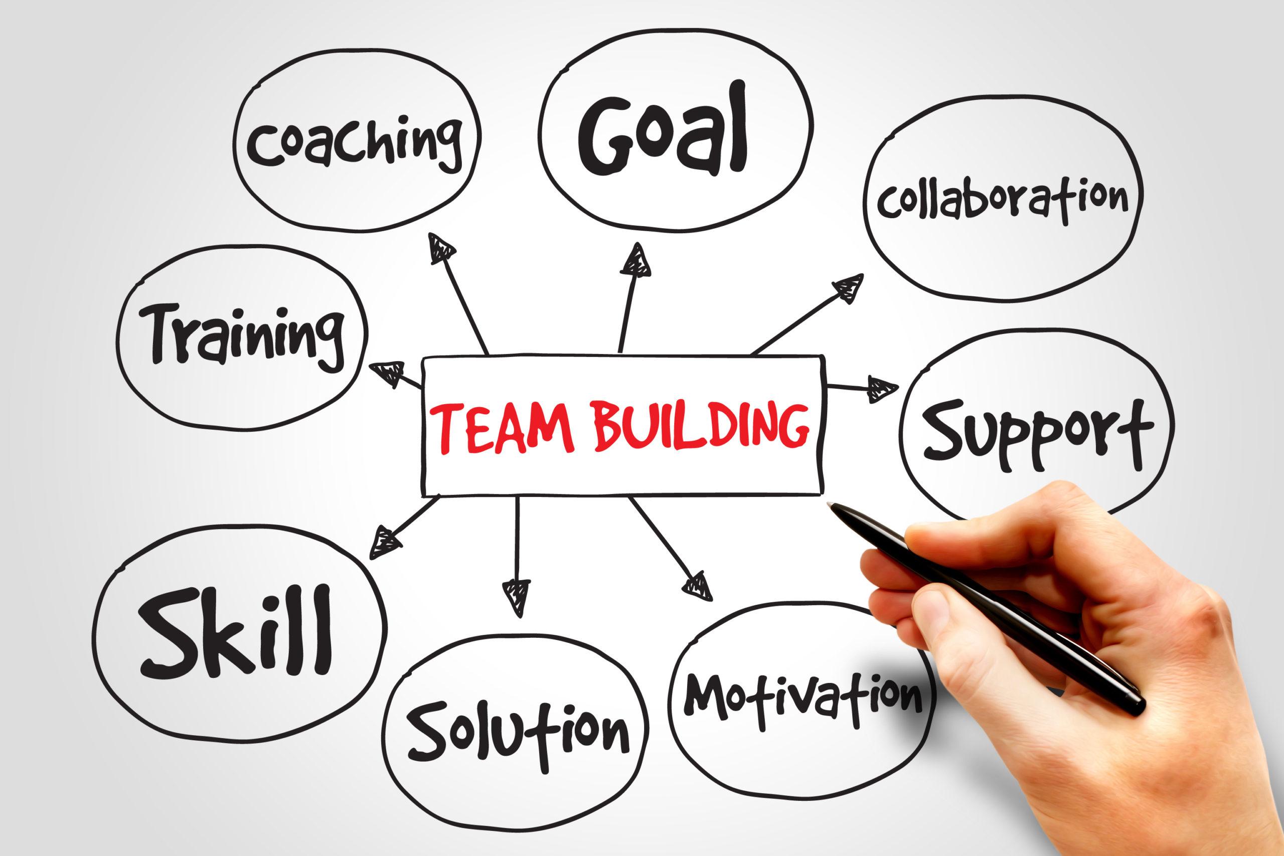 Building Your Team: Roles and Responsibilities Decoded