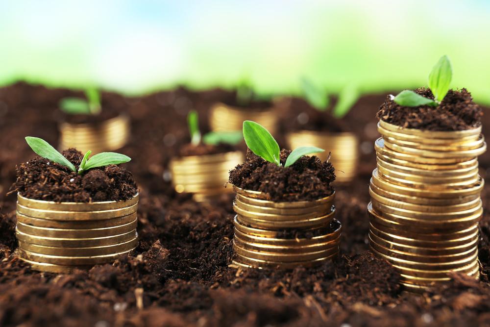 Maximizing Your Investment: Aftercare and Maintenance Secrets