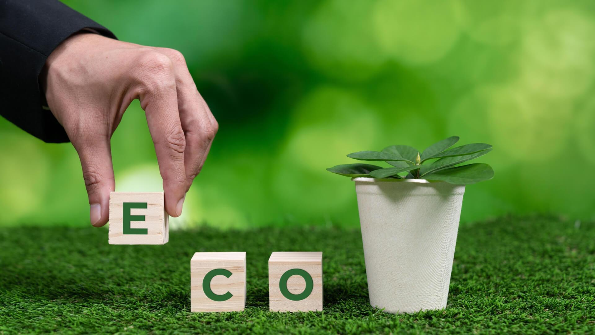 Eco-Friendly and Affordable: Sustainable Choices for Permanent Hair Removal