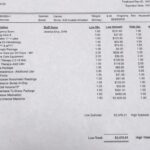 Vet Bills Decoded: Average Costs for Common Procedures