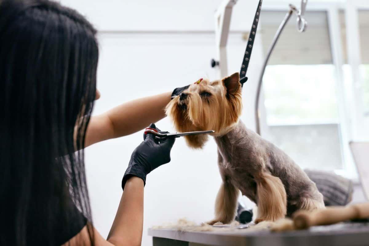 Goodbye Razor: Revolutionize Grooming with Full Body Hair Removal