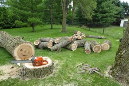 Discover Tree Removal Costs in Northern Virginia Today!