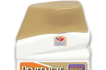 Revitalize Roots: Natural Instincts’ Timeless Touch-Up!