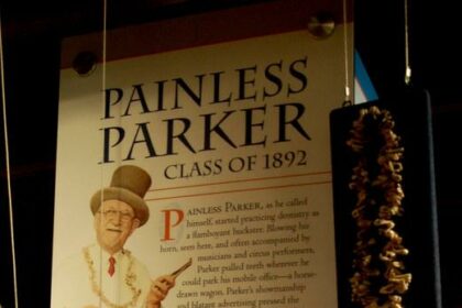 Achieve Smooth Perfection: Mismon MS-208B Painless Laser Epilation