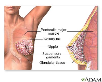Bare and Carefree: Armpit Laser Hair Removal Journey