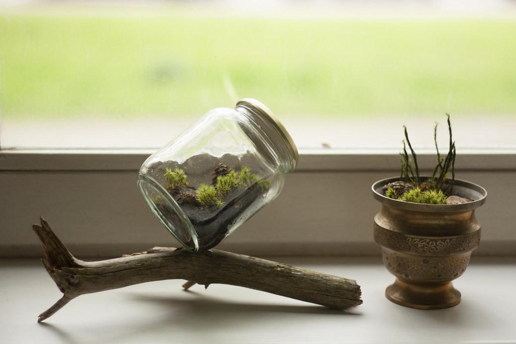DIY Hair Removal Concoctions: Whip Up Eco-Friendly Alternatives at Home