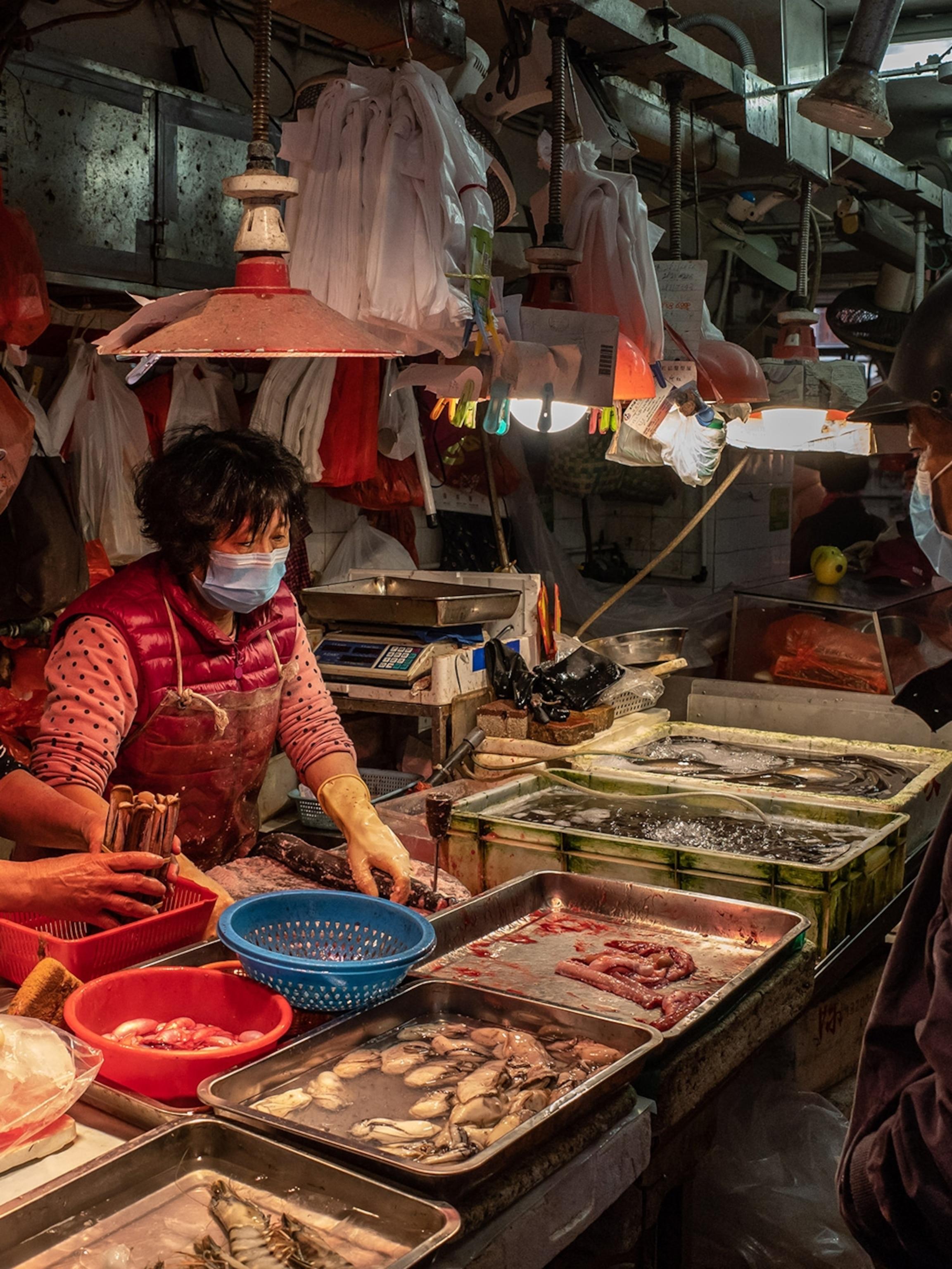 Exploring the Market: Where to Start Your Search