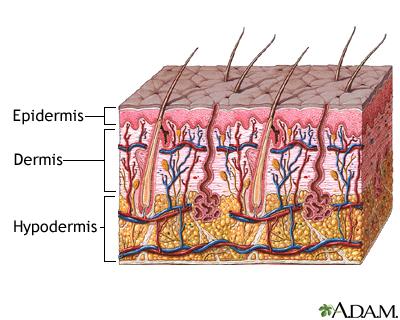 Prepping Your Skin: Essential Steps ⁣Before Treatment