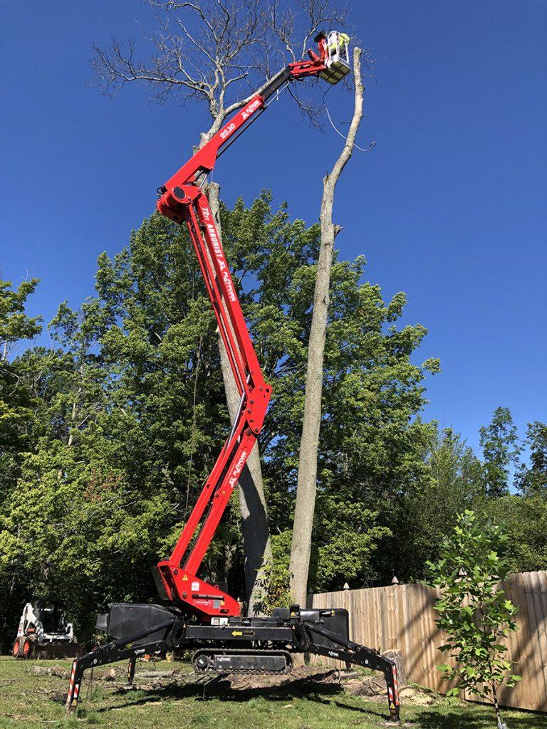 Tips for Finding ⁢the Best ⁢Tree Removal⁤ Service Near You