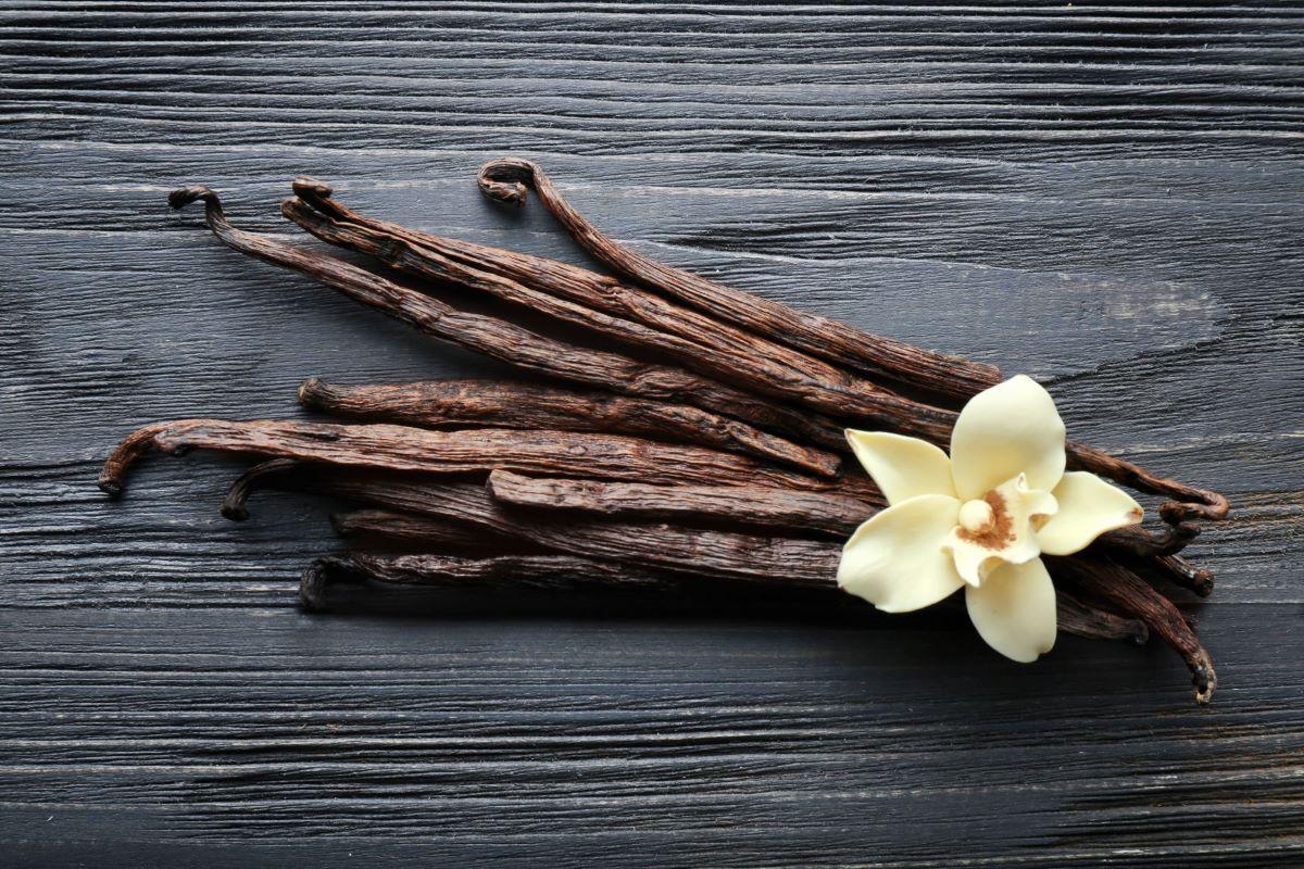 Sweet Vanilla Scent: Embrace the Ultimate Sensory Experience