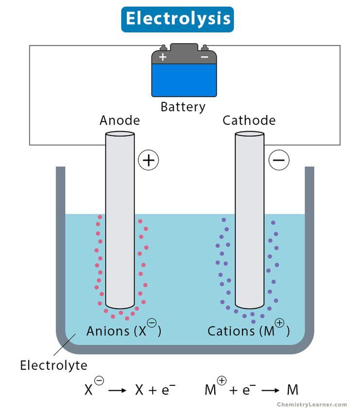 Understanding Electrolysis: A Deep Dive into Permanent Hair Removal
