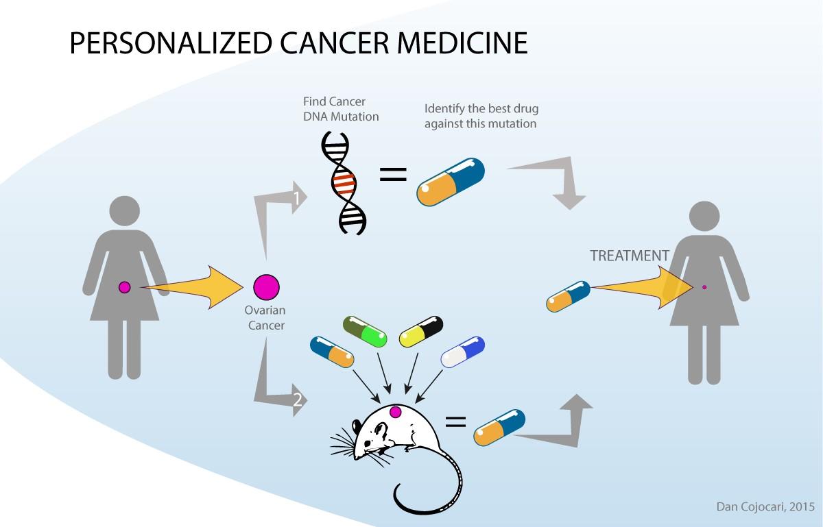 Embracing Diversity: Skin & Hair Care at Feinberg Dermatology 4 Personalized Treatments: Addressing Unique Dermatological Concerns