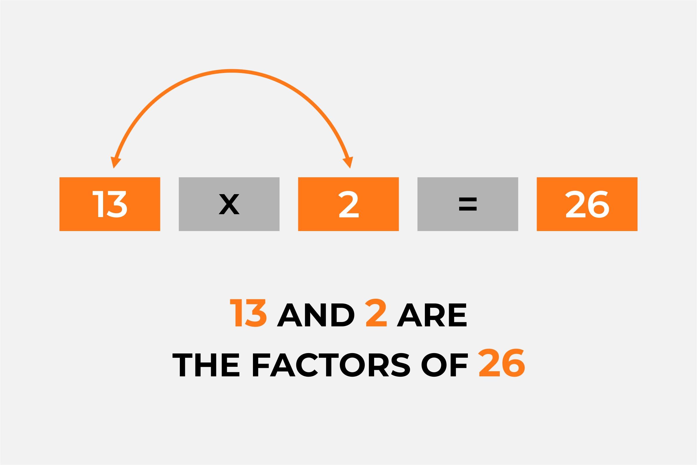 What Factors Influence the Final Bill?