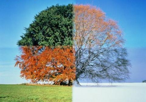Seasonal Changes: How Timing⁤ Affects Pricing‍ in Northern Virginia