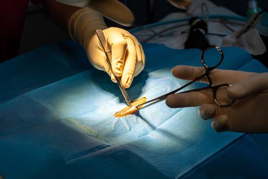 Post-Procedure Care: Ensuring Optimal Results