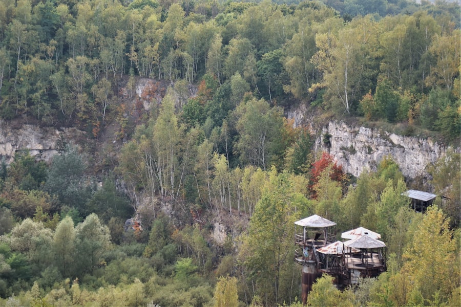 Consequences of stopping laser hair removal early 2