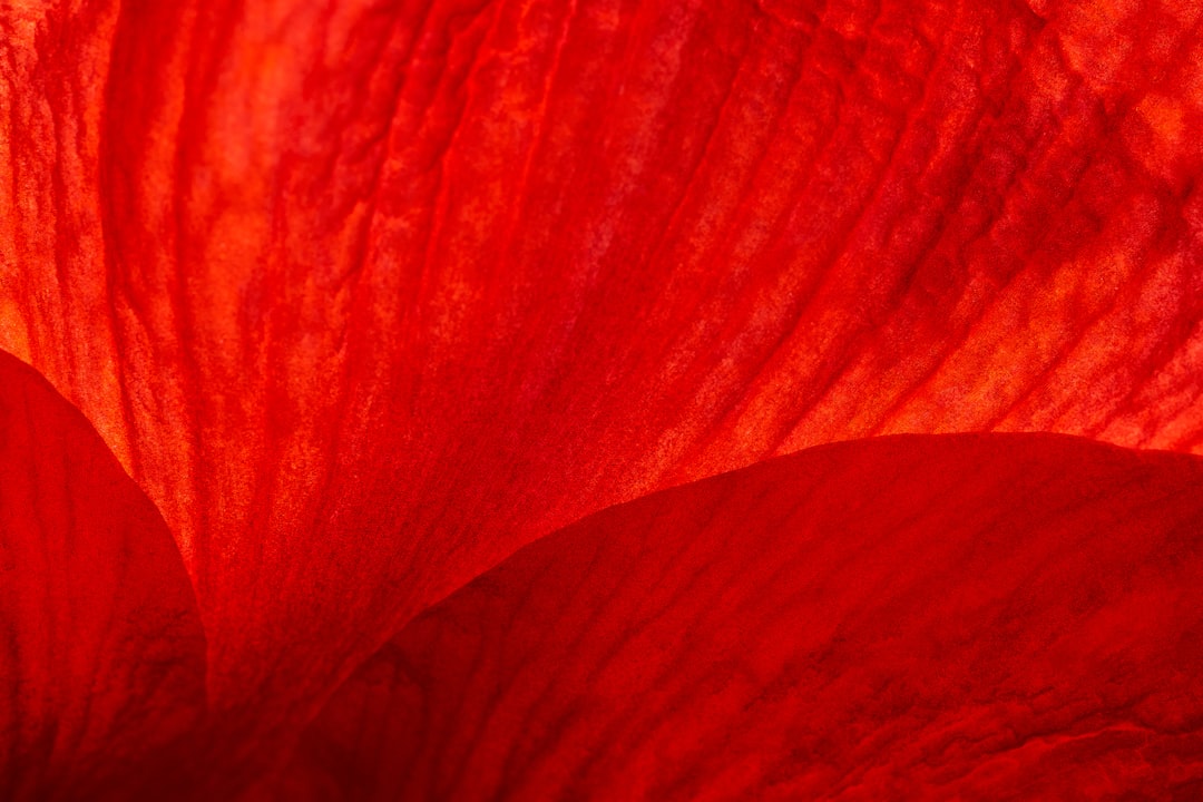 Photo Redness, Irritation