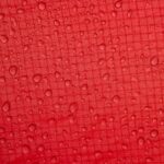 Photo Red bumps