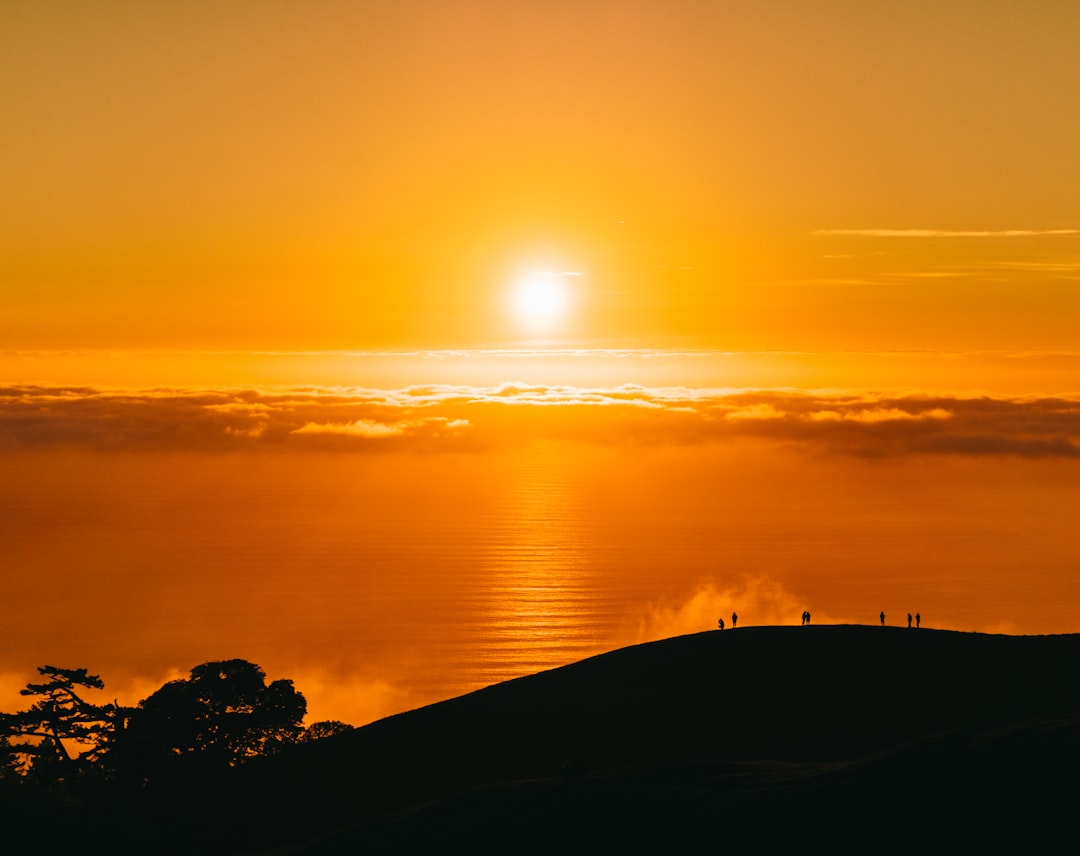Photo Dos: Consultation Donts: Sun exposure