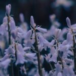 Photo gentle cleanser