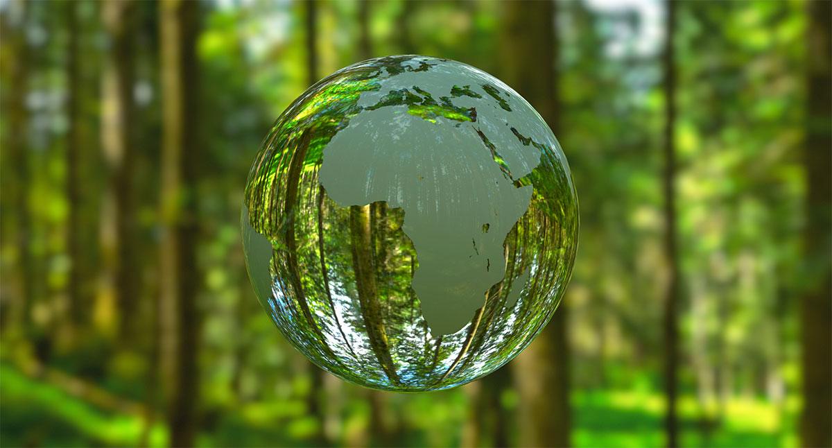 Environmental Factors: How Sunlight and Geography​ Shape ⁤Skin ​Tone